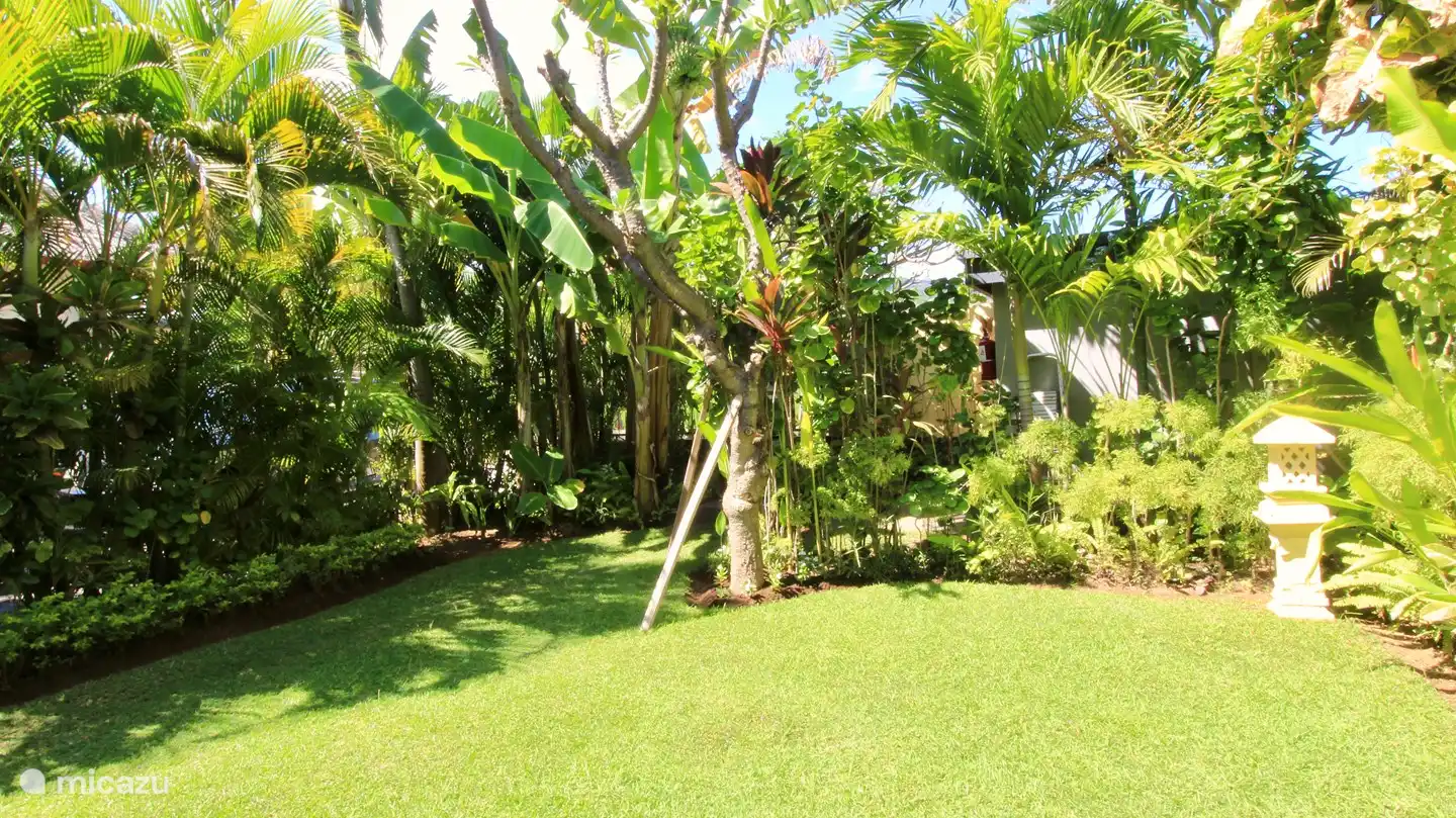 Jardín en la parte trasera de la villa.