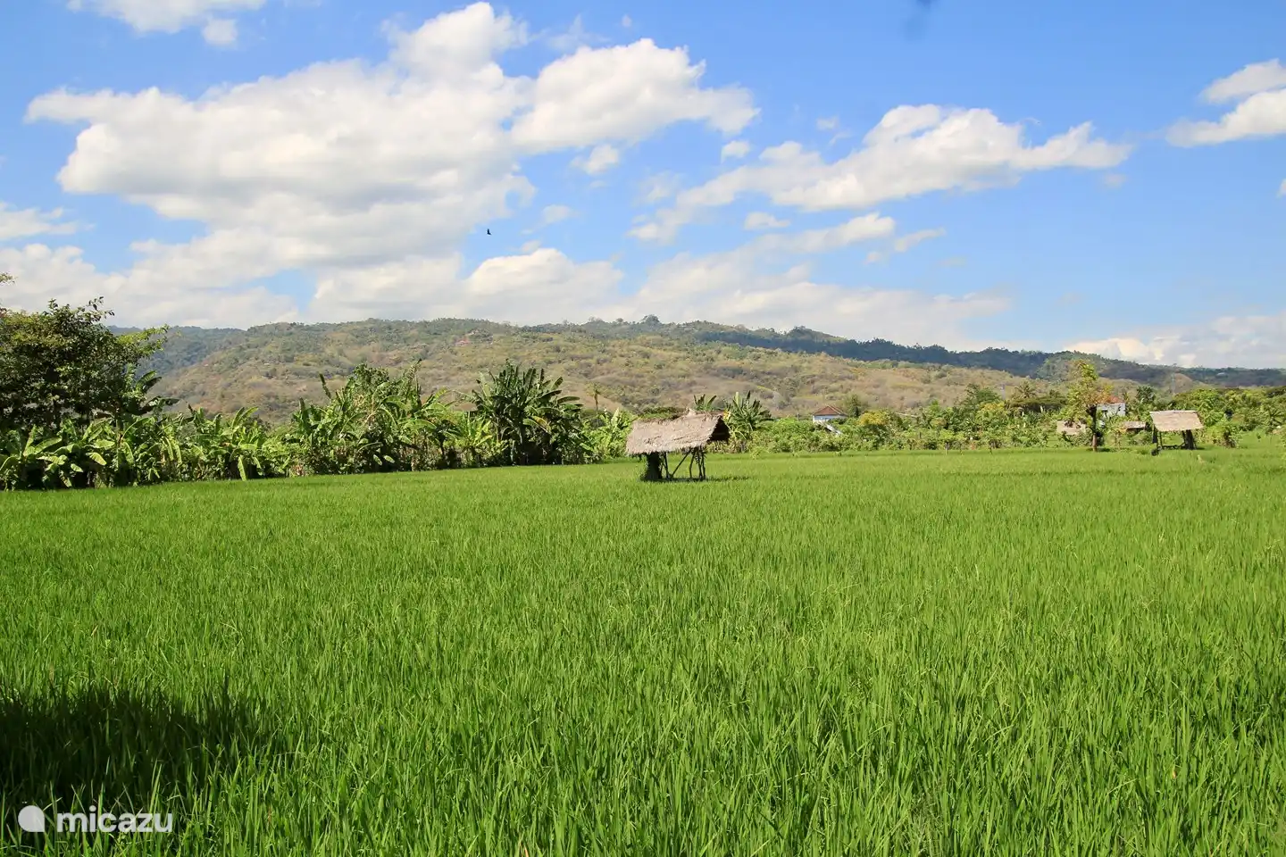Vista en la parte trasera de la villa.