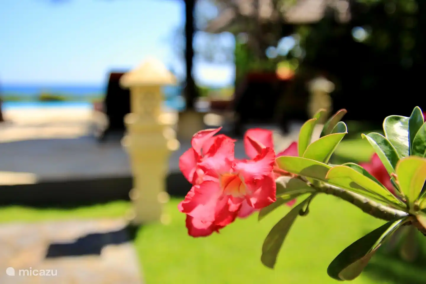 Se alquila villa en Bali directamente en la playa con piscina privada