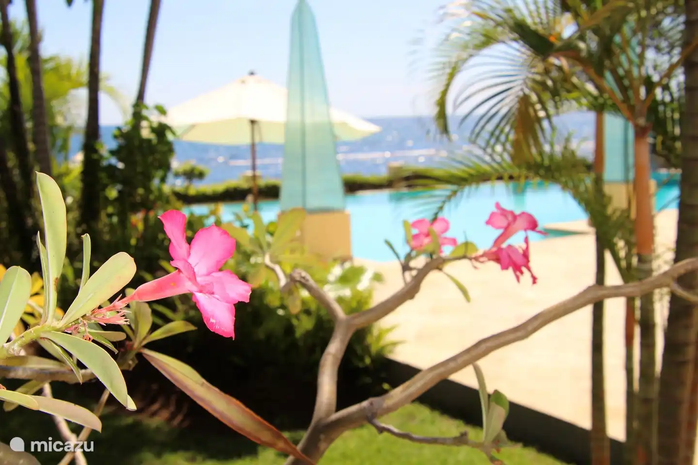 Se alquila villa en Bali directamente en la playa con piscina privada