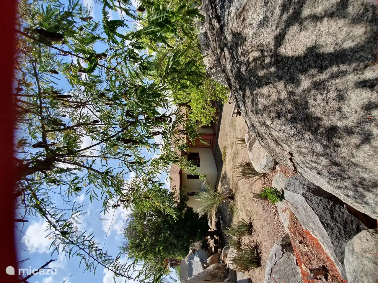 arrière-cour Ayo Apartments