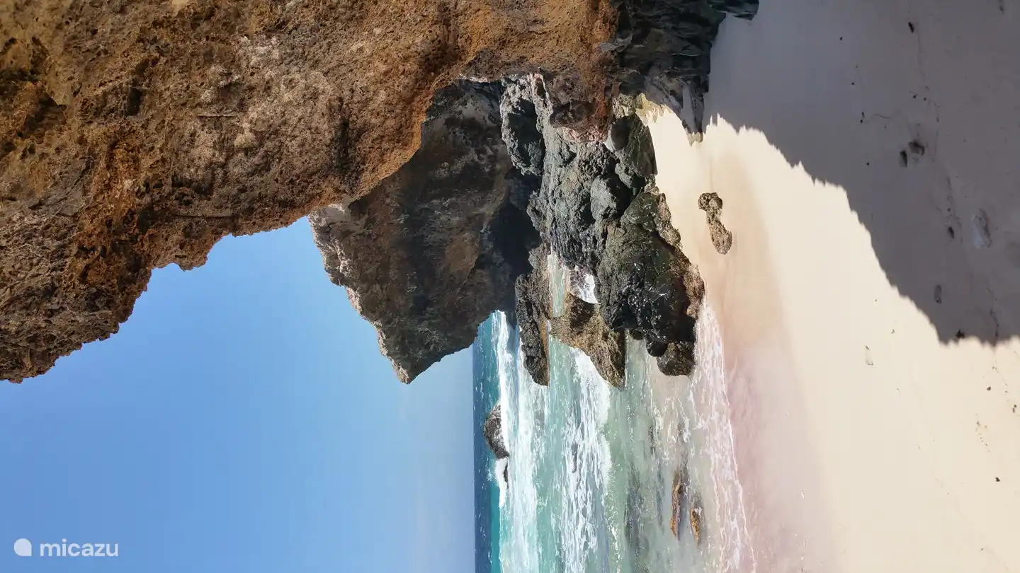 Impression de la côte