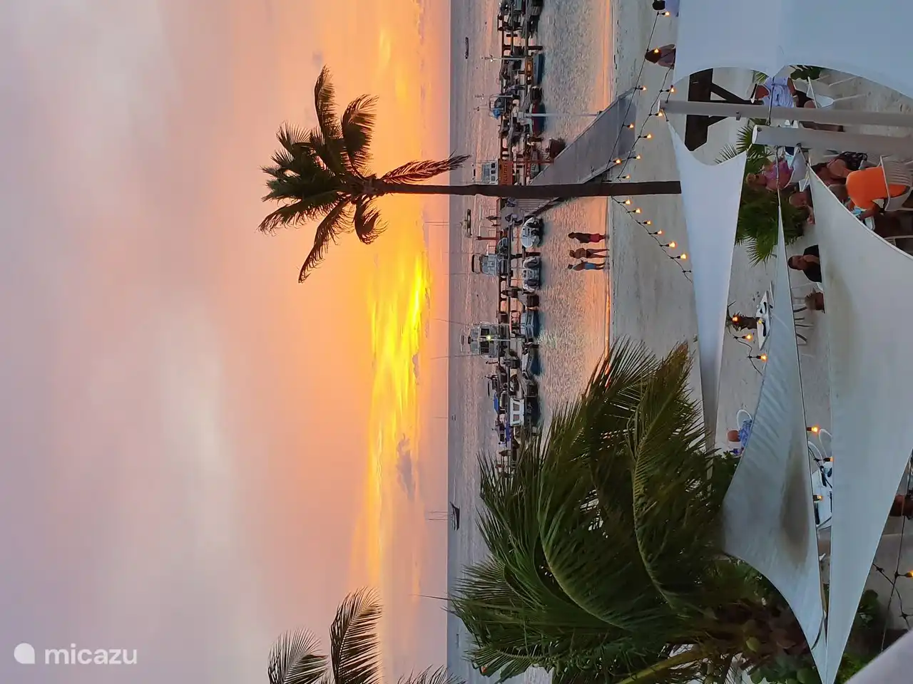 Plage de palmiers au coucher du soleil