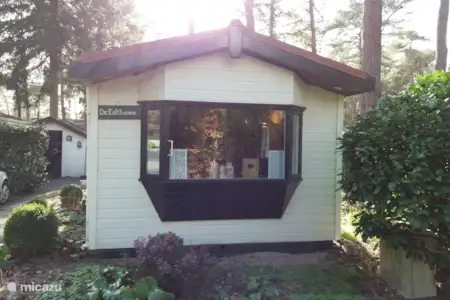 Download Vakantiehuis In Dwingeloo Drenthe Nederland Huren Micazu Desktop Wallpaper Get Wallpaper Vakantiehuis In Dwingeloo Drenthe Nederland Huren Micazu For Free