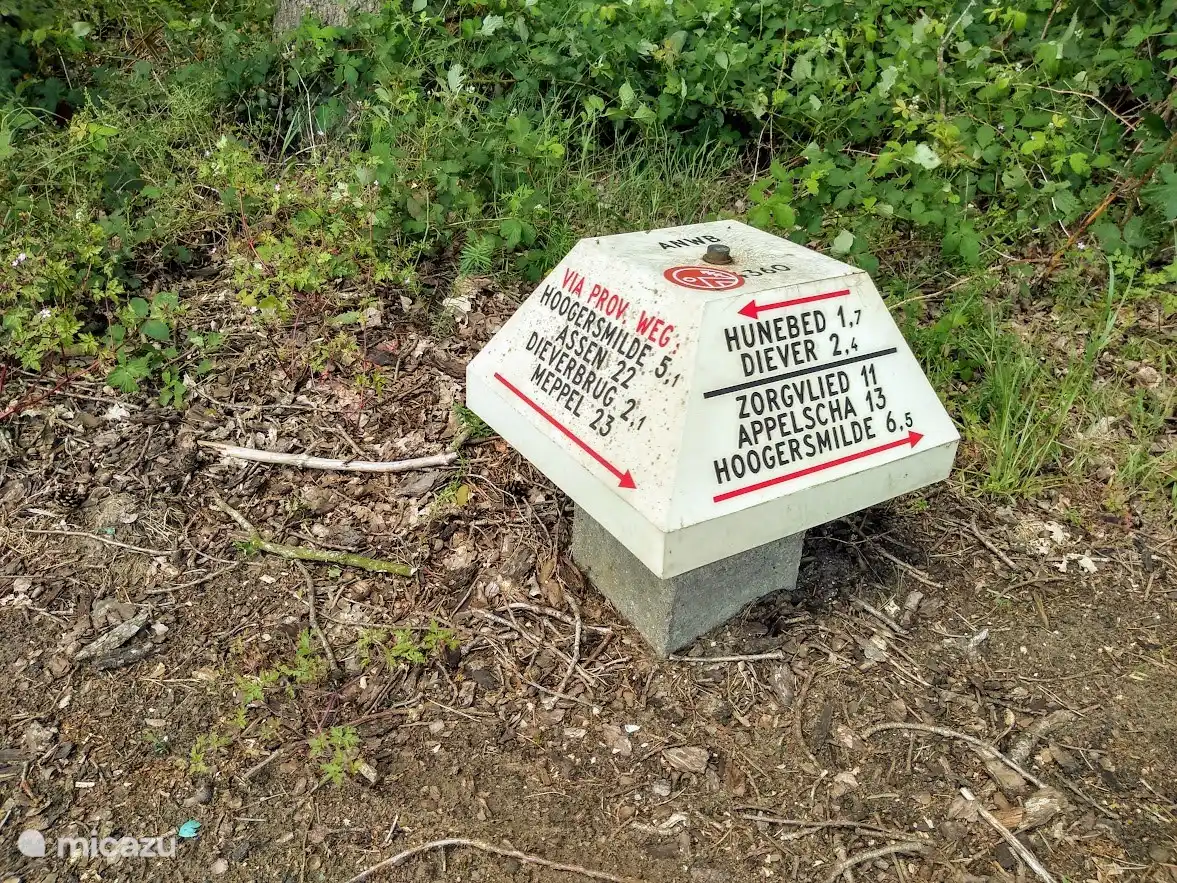 Champignon Anwb à l'entrée