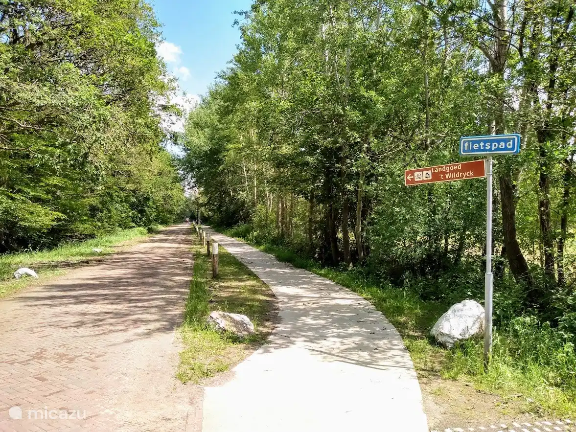 Piste cyclable au parc