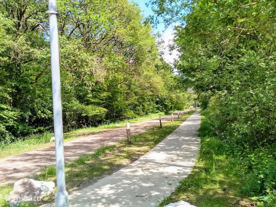 Piste cyclable au parc