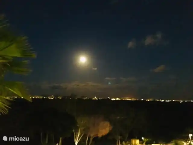 Vista desde la terraza con vistas al balneario de Gandia Playa