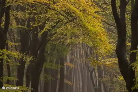 Le Speulderbos