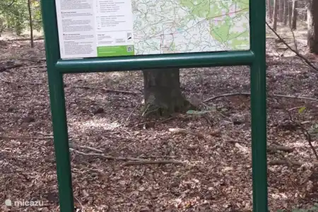 Le réseau de pistes cyclables de la Veluwe
