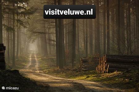 Kijk op    visitveluwe.nl   voor alles wat er te doen is op de Veluwe.