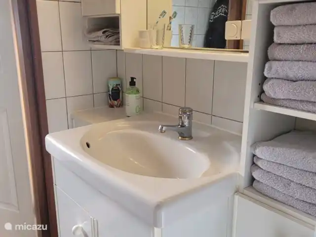 chalet huren in Nederland, Gelderland, Putten –  De Blauwe Reiger Badkamer met wastafel meubel.