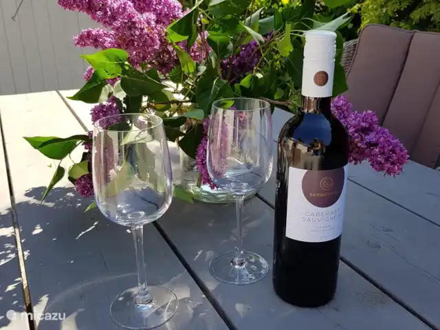 chalet huren in Nederland, Gelderland, Putten –  De Blauwe Reiger Bij mooi weer buiten eten