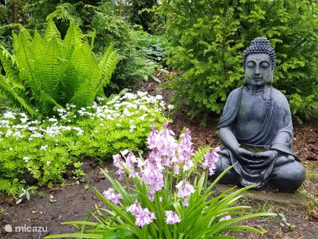 chalet huren in Nederland, Gelderland, Putten –  De Blauwe Reiger Voortuin