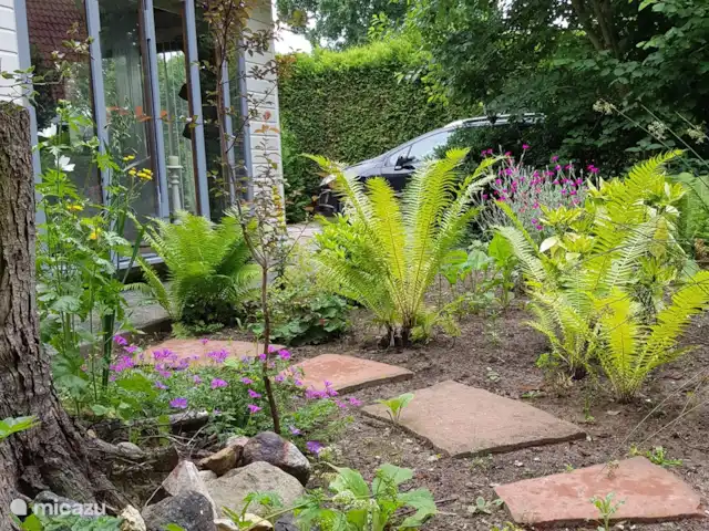 chalet huren in Nederland, Gelderland, Putten –  De Blauwe Reiger Voortuin