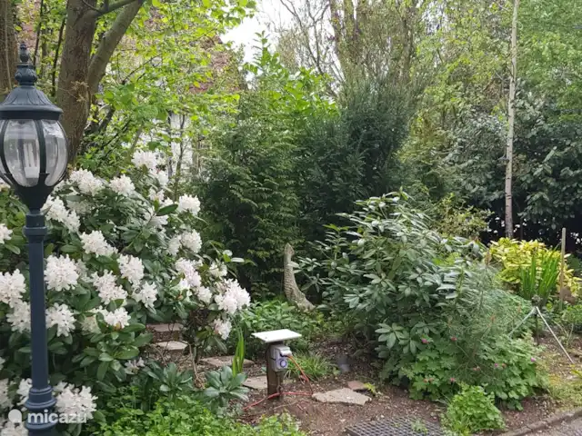 chalet huren in Nederland, Gelderland, Putten –  De Blauwe Reiger Voortuin.