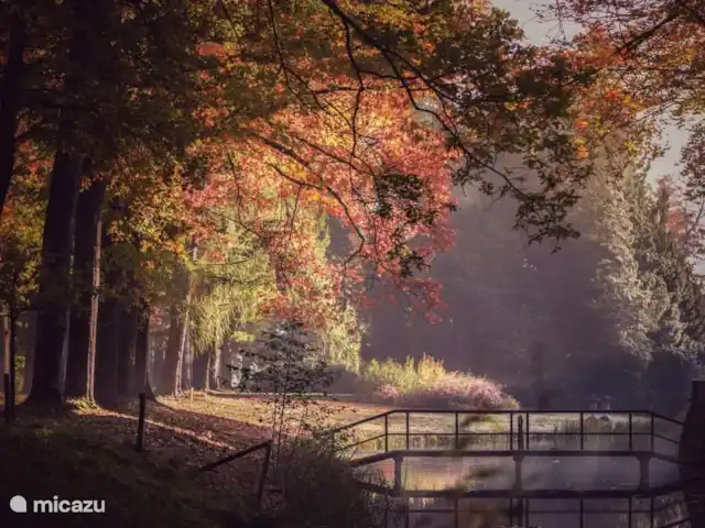 chalet huren in Nederland, Gelderland, Putten –  De Blauwe Reiger Het Speulder en Sprielderbos een van de oudste bossen van Nederland.