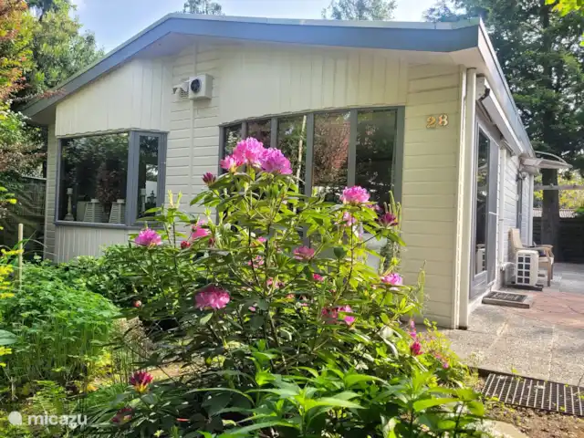 chalet huren in Nederland, Gelderland, Putten –  De Blauwe Reiger