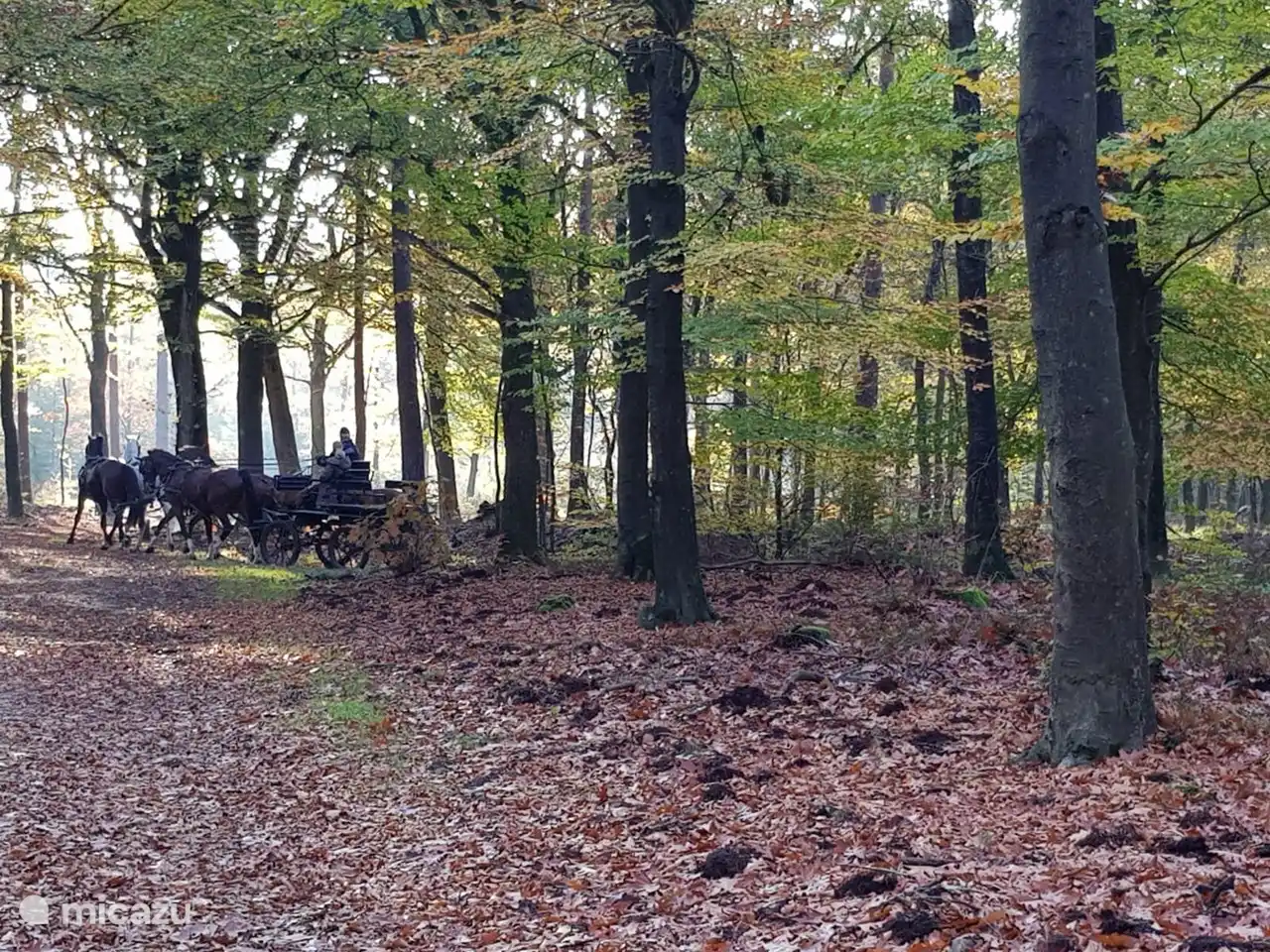Le Speulderbos