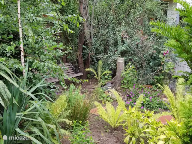 chalet huren in Nederland, Gelderland, Putten –  De Blauwe Reiger Voortuin met zitje