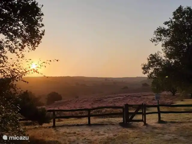 chalet huren in Nederland, Gelderland, Putten –  De Blauwe Reiger Heide