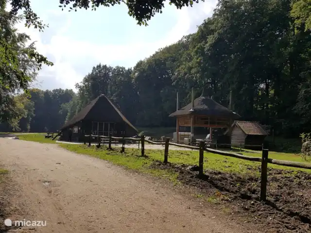 chalet huren in Nederland, Gelderland, Putten –  De Blauwe Reiger Schaapskooi in Buurlo