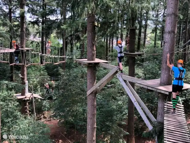 chalet huren in Nederland, Gelderland, Putten –  De Blauwe Reiger Klimbos in Garderen