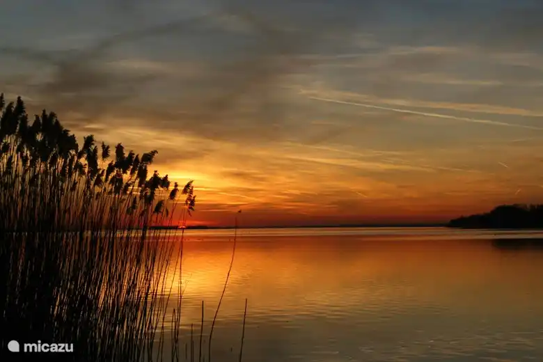 Le Veluwemeer est un paradis pour la baignade, le surf ou la pêche.