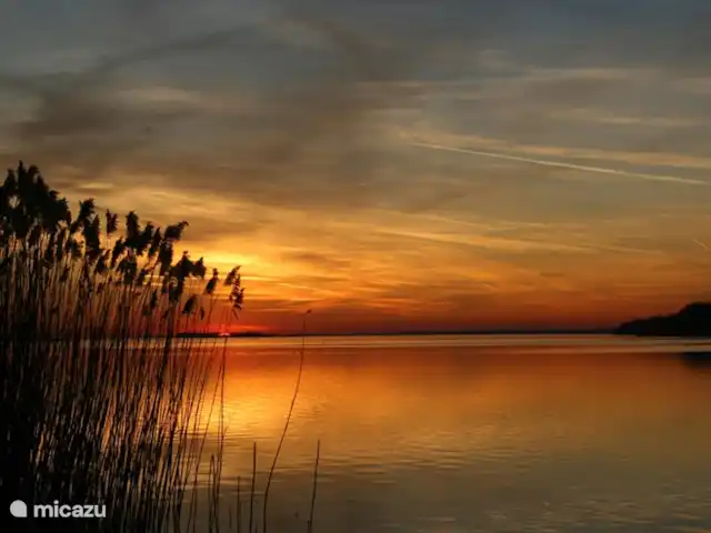 chalet huren in Nederland, Gelderland, Putten –  De Blauwe Reiger Het Veluwemeer een paradijs om te zwemmen,,surfen of vissen.