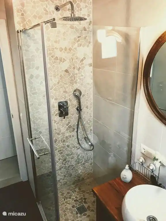 Seperate bath and Walk-in Rain shower