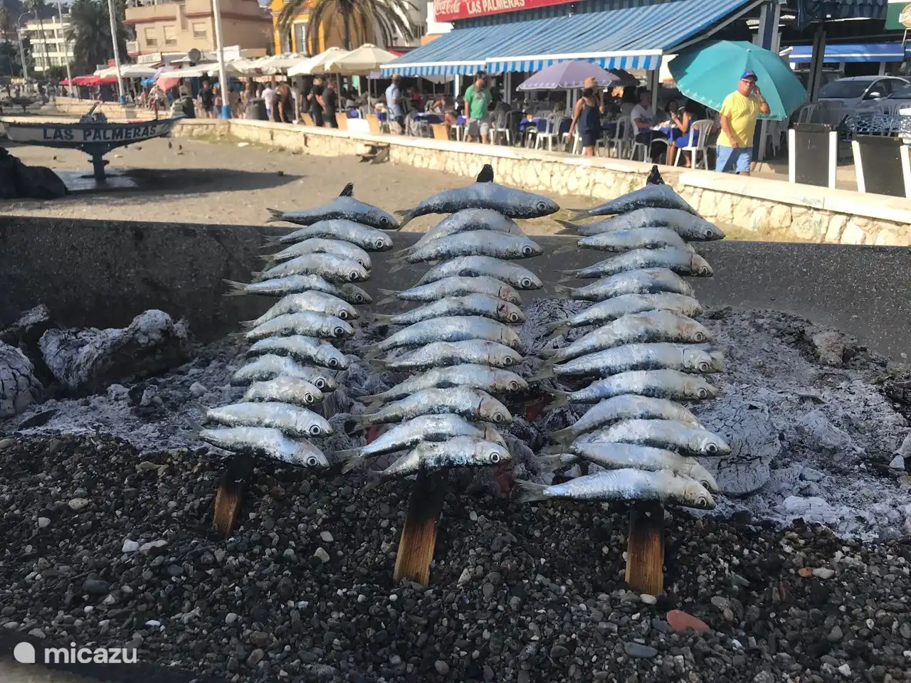 Gegrilde sardientjes espetas de sardinas, de specialiteit van Malaga.