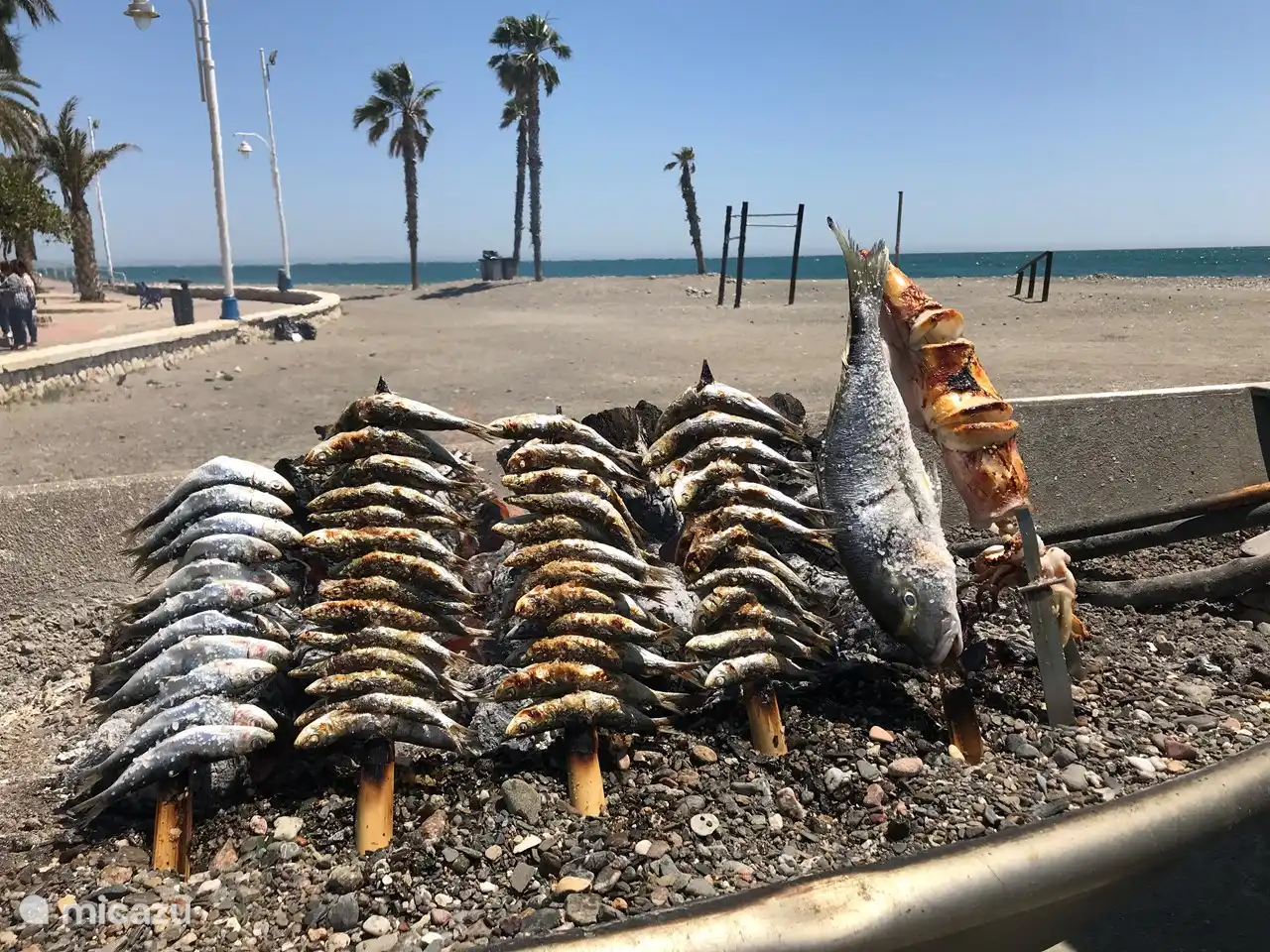 Gegrilde sardientjes en vis va de BBQ boot bij de authentieke visrestaurants