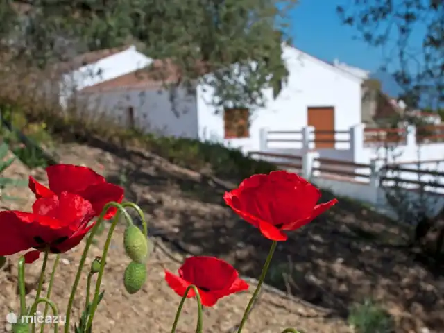Villa la Noria | Espagne, Costa del Sol, Comares - villa Vue plongeante sur la maison.