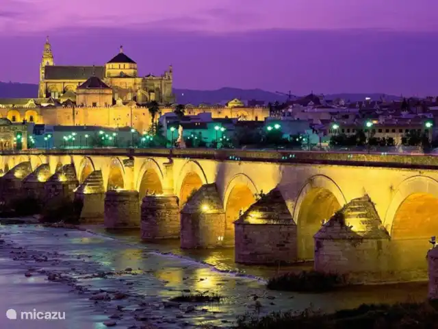 Villa la Noria | Espagne, Costa del Sol, Comares - villa Visitez Cordoue historique!