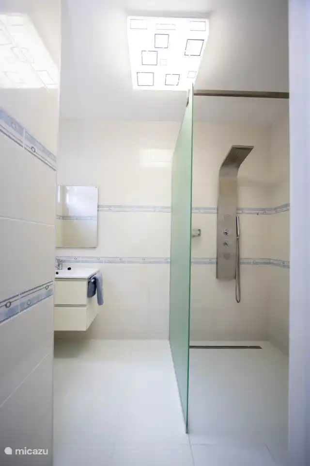 Bathroom with sink and shower