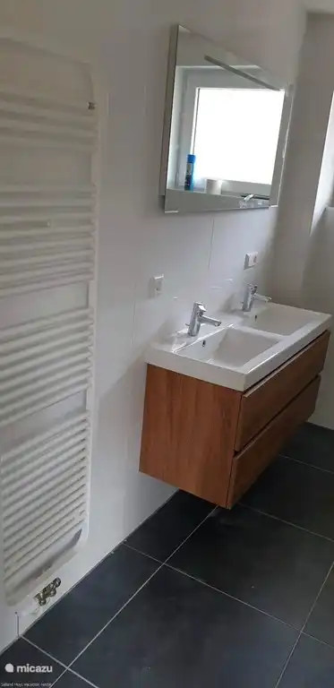 Vakantiehuis Salland Huys, Heeten, Nederland, badkamer begane grond