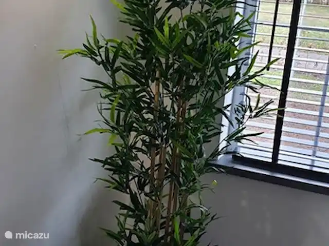 Salland Huys en Países Bajos, Overijssel, Heeten - casa vacacional Casa de vacaciones Salland Huys, Heeten, Países Bajos.