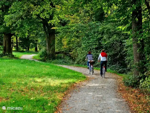 Salland Huys en Países Bajos, Overijssel, Heeten - casa vacacional Caminos perfectos para bicicletas en todas partes