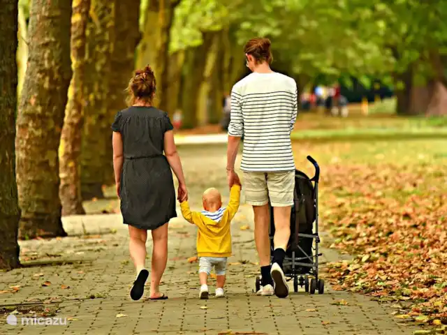 Salland Huys en Países Bajos, Overijssel, Heeten - casa vacacional Precioso paseo por la naturaleza.