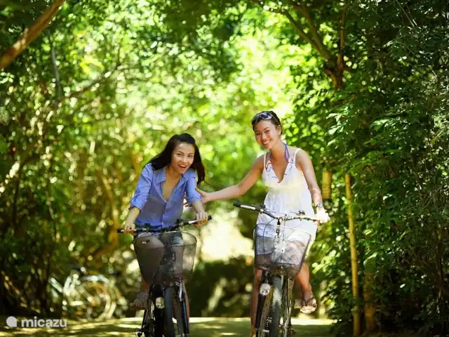 Salland Huys en Países Bajos, Overijssel, Heeten - casa vacacional Fuera en la bicicleta.