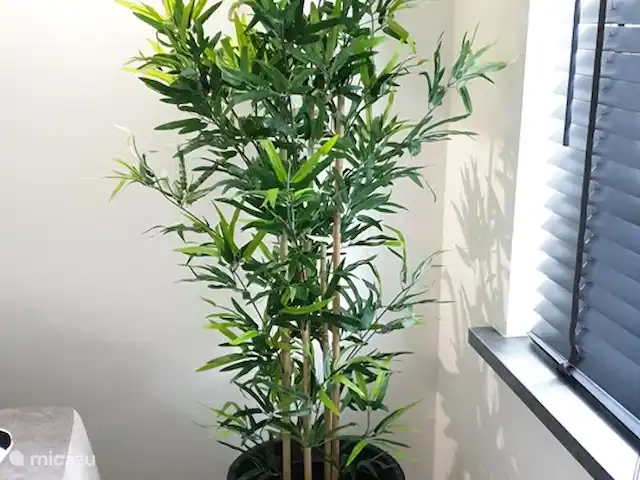 Salland Huys en Países Bajos, Overijssel, Heeten - casa vacacional Casa de vacaciones Salland Huys, Heeten, Países Bajos.