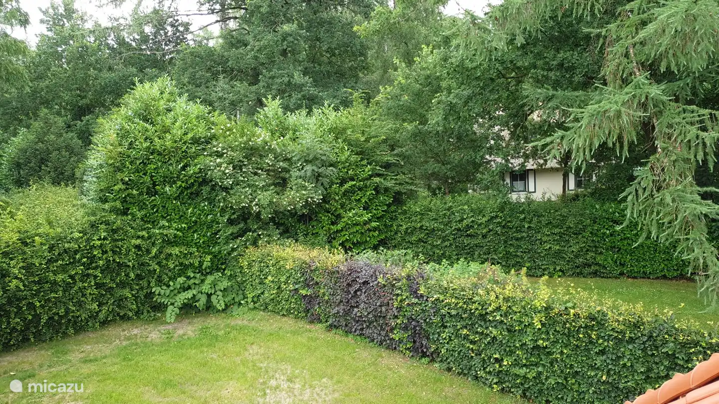 Tuin. Vakantiehuis Salland Huys, Heeten, Nederland.