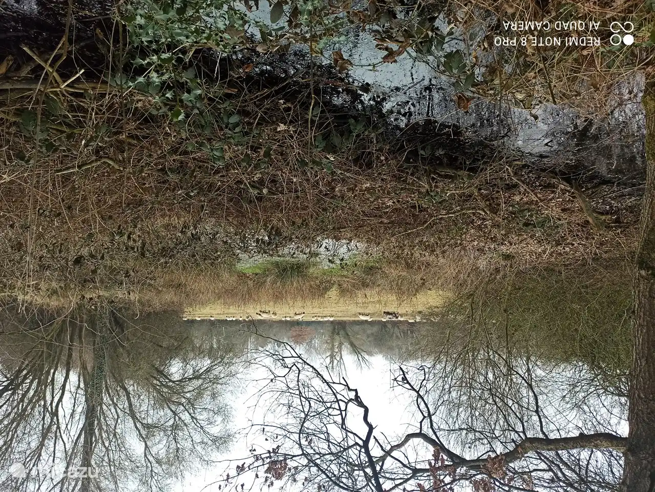 Natuurgebied De Holten op loopafstand.