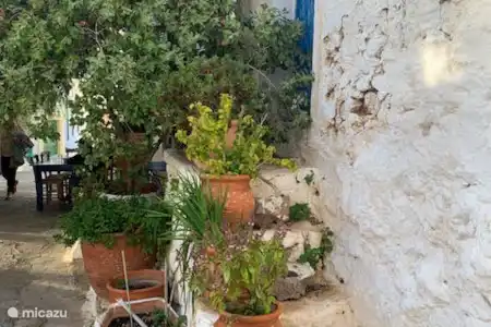 Manger à la Taverna Piperia à Pefkoi