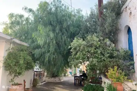 Manger à la Taverna Piperia à Pefkoi