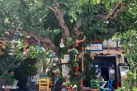 Village de Mithi