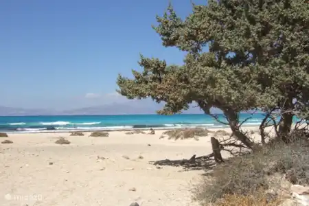 Île Chrissie
