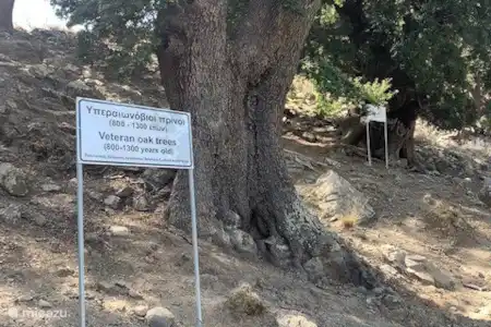 Le village de montagne de Selakano