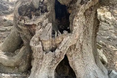Le village de montagne de Selakano