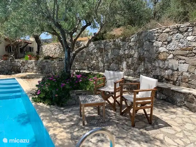 Sit by the pool in the shade of the olive tree.